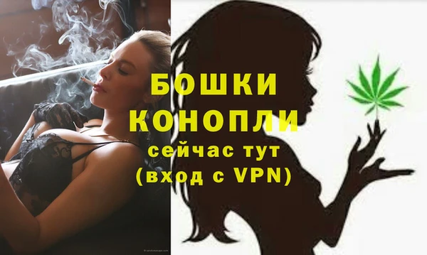 мет Богданович
