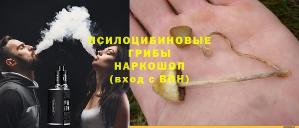spice Бронницы