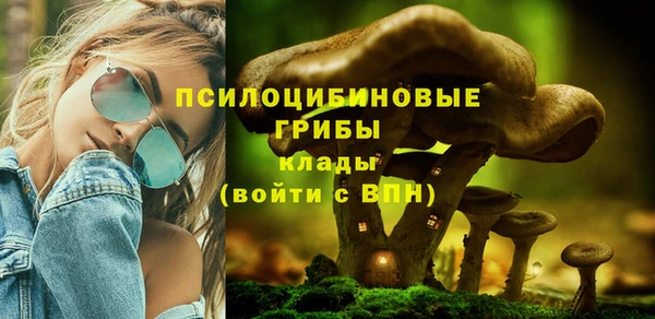 spice Бронницы